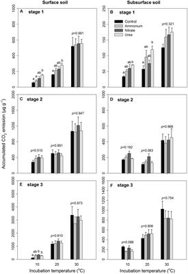 Exogenous Nitrogen Addition Reduced the Temperature Sensitivity of Microbial Respiration without Altering the Microbial Community Composition